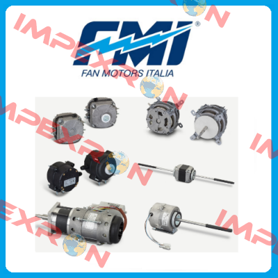 FMI (Fan Motors Italia)