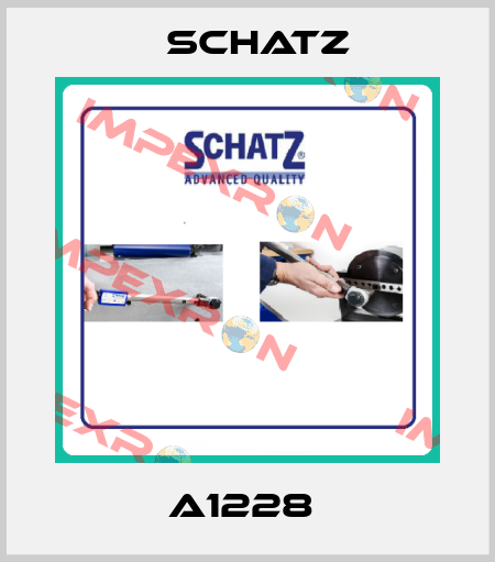 A1228  Schatz