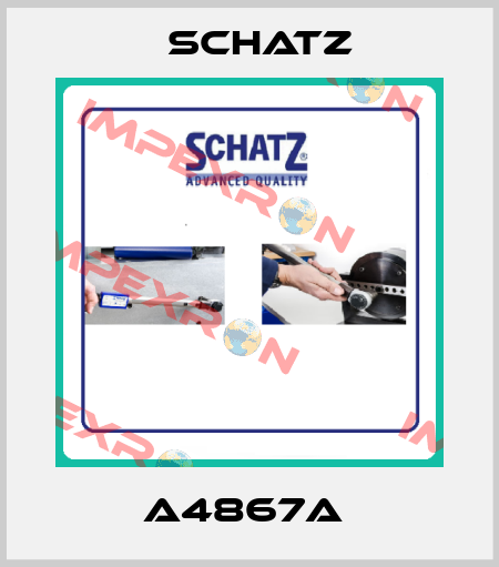 A4867A  Schatz