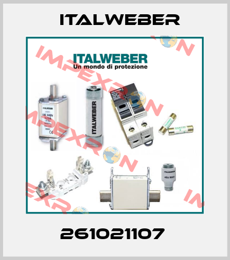 261021107  Italweber