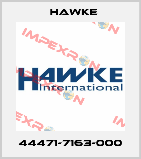 44471-7163-000 Hawke