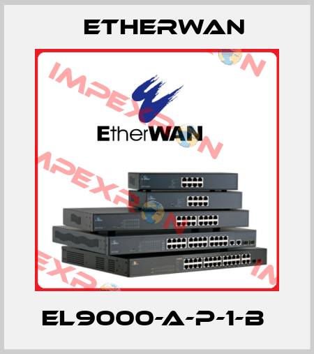 EL9000-A-P-1-B  Etherwan