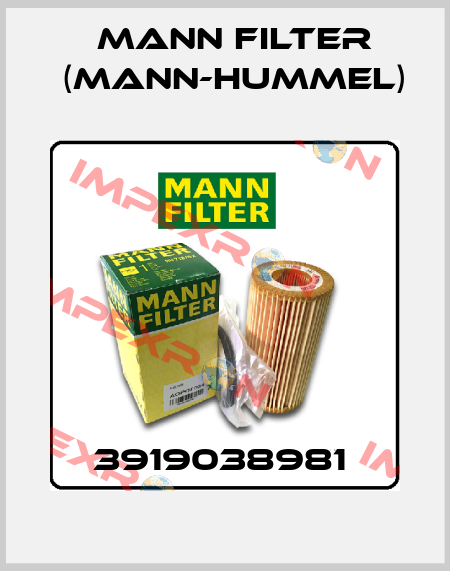 3919038981  Mann Filter (Mann-Hummel)