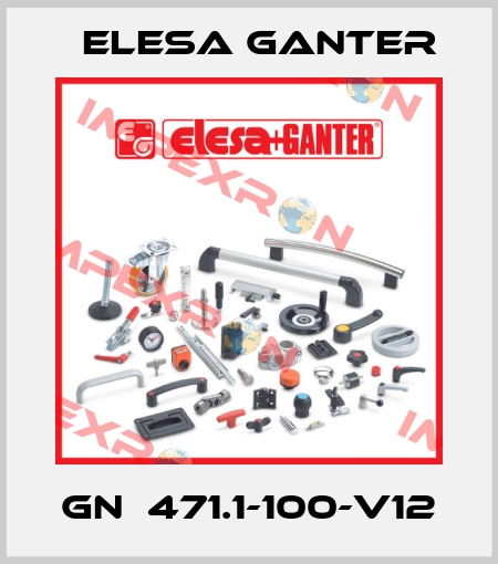 GN  471.1-100-V12 Elesa Ganter