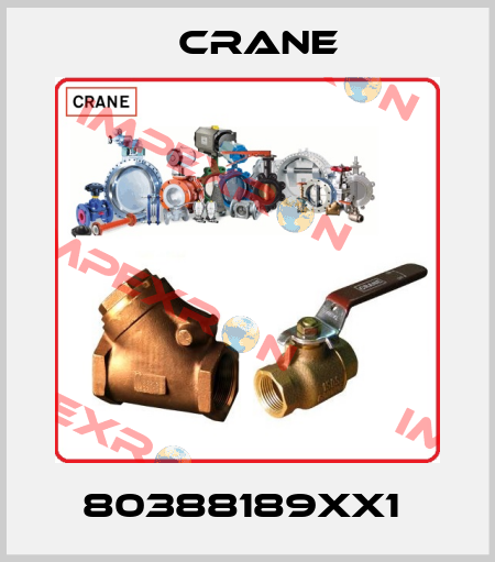 80388189XX1  Crane