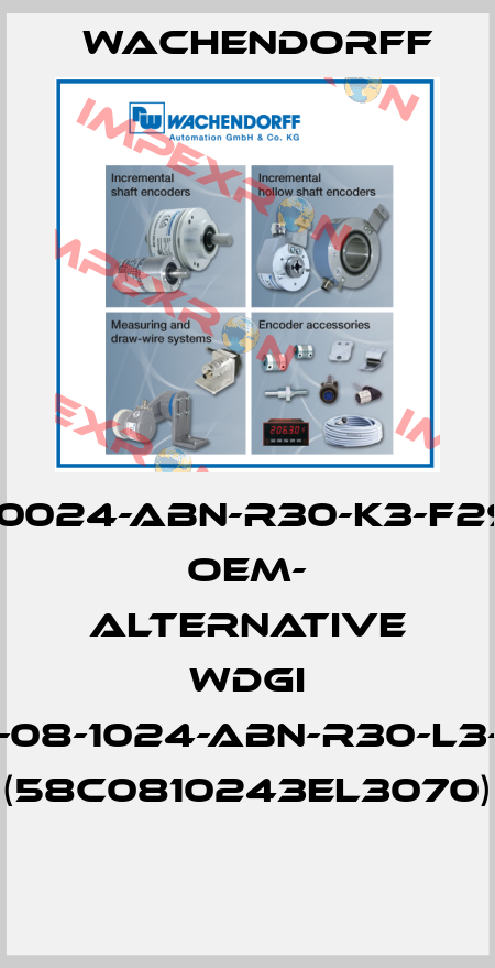 58C-10024-ABN-R30-K3-F29-070 OEM- alternative WDGI 58C-08-1024-ABN-R30-L3-070 (58C0810243EL3070)  Wachendorff