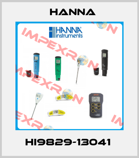 HI9829-13041  Hanna