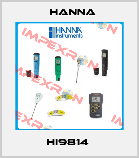 HI9814  Hanna