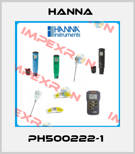pH500222-1  Hanna