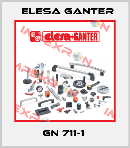 GN 711-1  Elesa Ganter