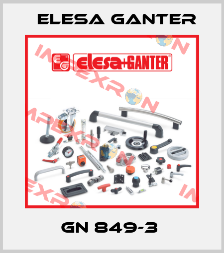 GN 849-3  Elesa Ganter