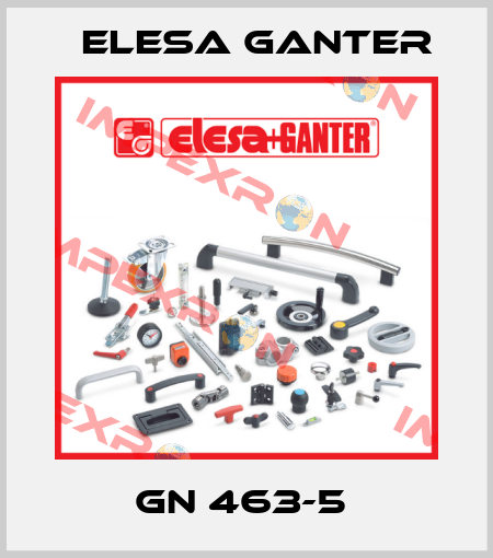 GN 463-5  Elesa Ganter