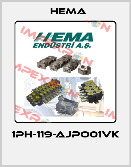 1PH-119-AJPO01VK  Hema