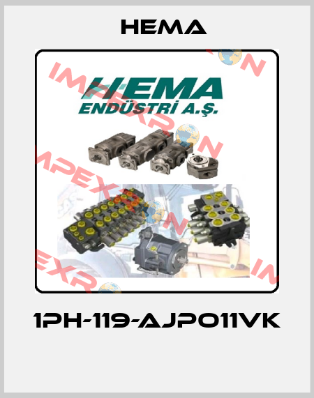 1PH-119-AJPO11VK  Hema