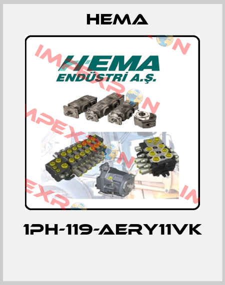 1PH-119-AERY11VK  Hema