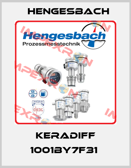 KERADIFF 1001BY7F31  Hengesbach