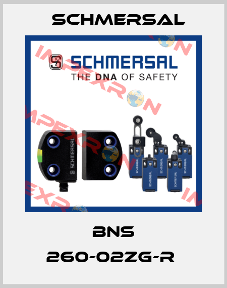 BNS 260-02ZG-R  Schmersal
