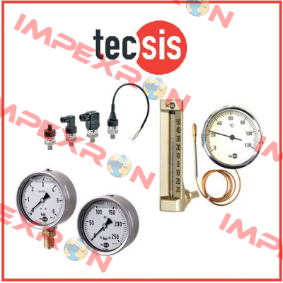 P1779B069904  Tecsis (WIKA Group)