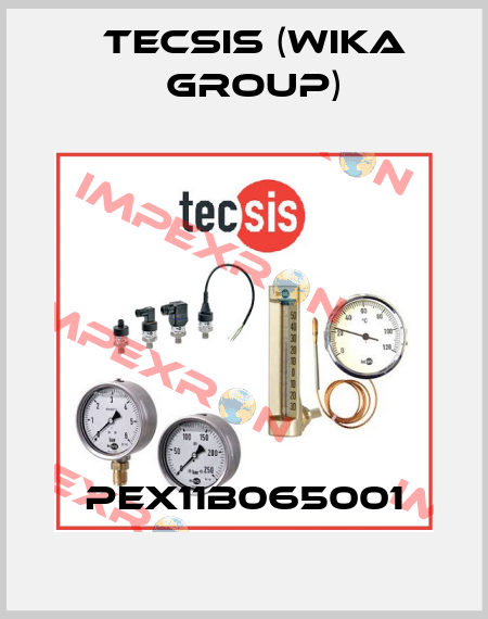 PEX11B065001 Tecsis (WIKA Group)