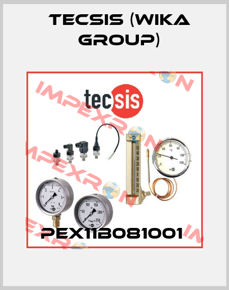 PEX11B081001  Tecsis (WIKA Group)