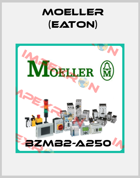 BZMB2-A250  Moeller (Eaton)
