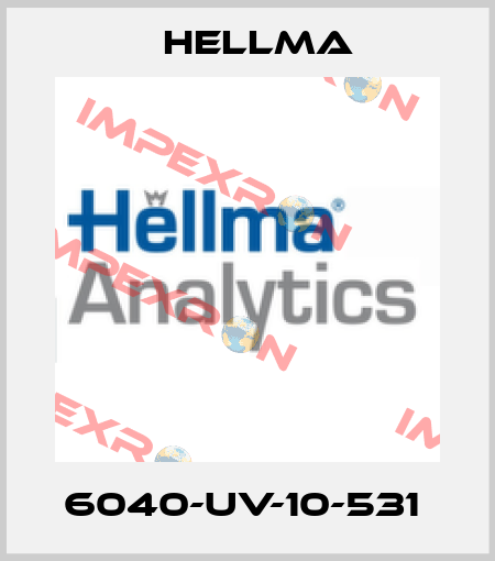 6040-UV-10-531  Hellma