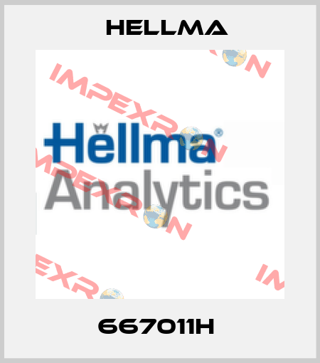 667011H  Hellma