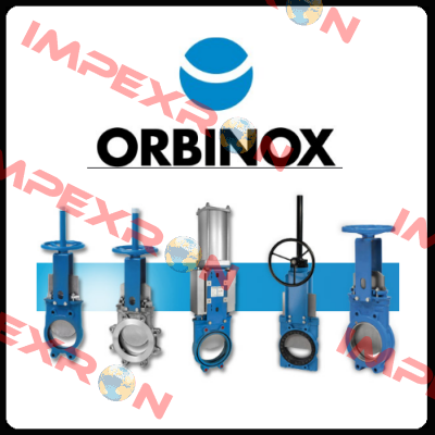 VG DN 250 PN10  Orbinox