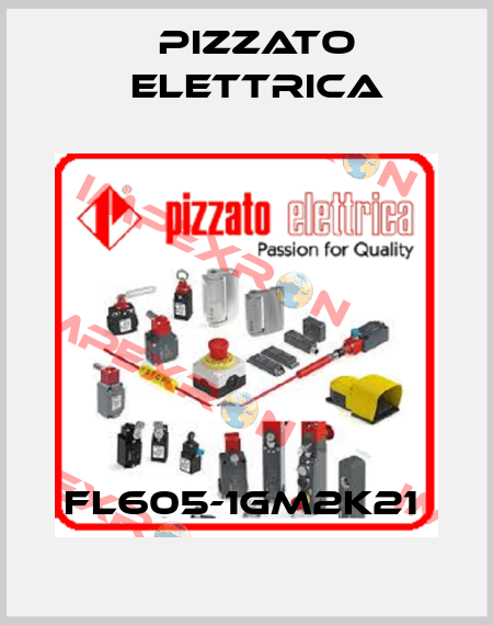 FL605-1GM2K21  Pizzato Elettrica