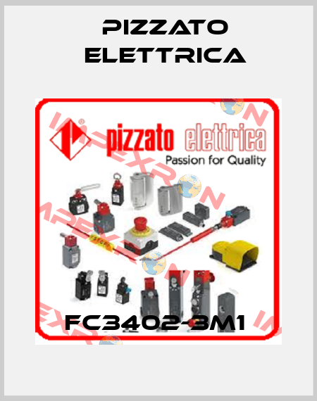 FC3402-3M1  Pizzato Elettrica