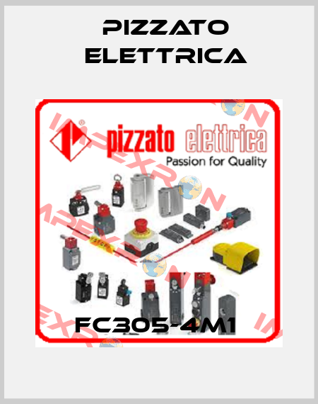 FC305-4M1  Pizzato Elettrica