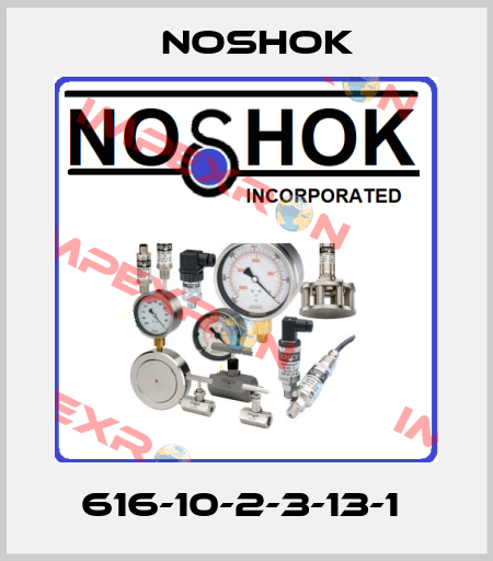616-10-2-3-13-1  Noshok