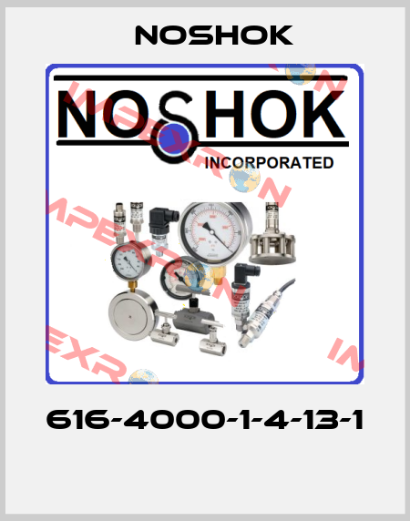 616-4000-1-4-13-1  Noshok