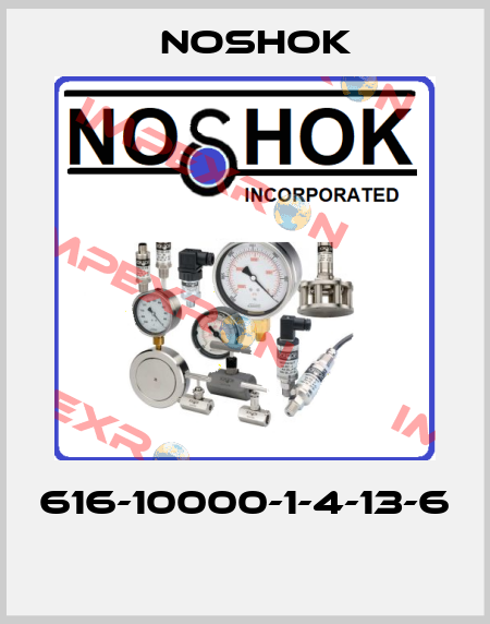 616-10000-1-4-13-6  Noshok
