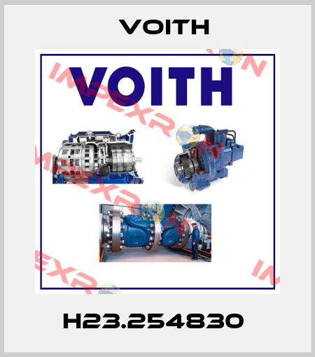 H23.254830  Voith