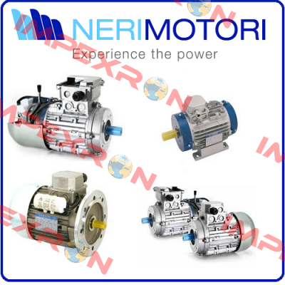 Brake assy for 11005785009  Neri Motori