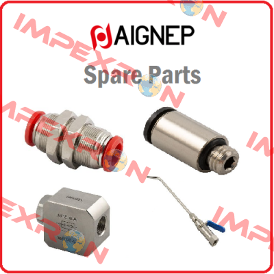 Type: 6300 1/4’’    Aignep