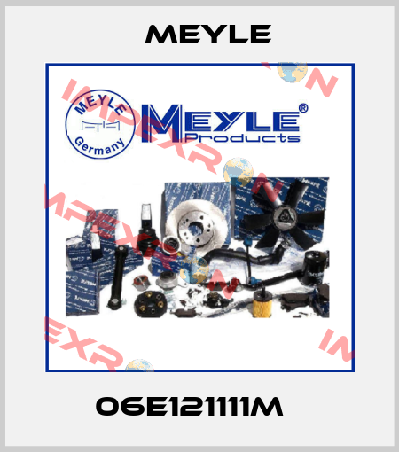 06E121111M   Meyle