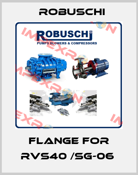 Flange for RVS40 /SG-06  Robuschi
