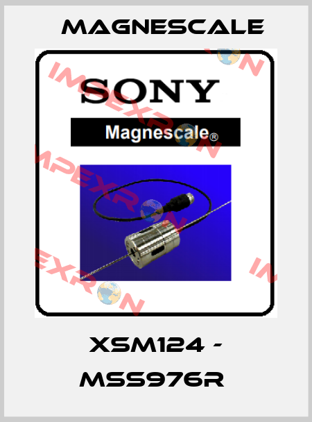 XSM124 - MSS976R  Magnescale