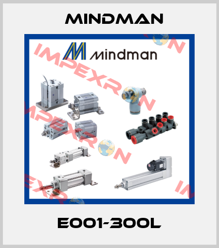 E001-300L Mindman