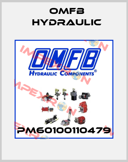 PM60100110479 OMFB Hydraulic