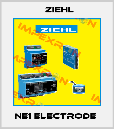 NE1 ELECTRODE  Ziehl