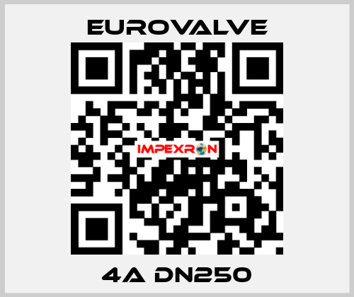 4A DN250 Eurovalve