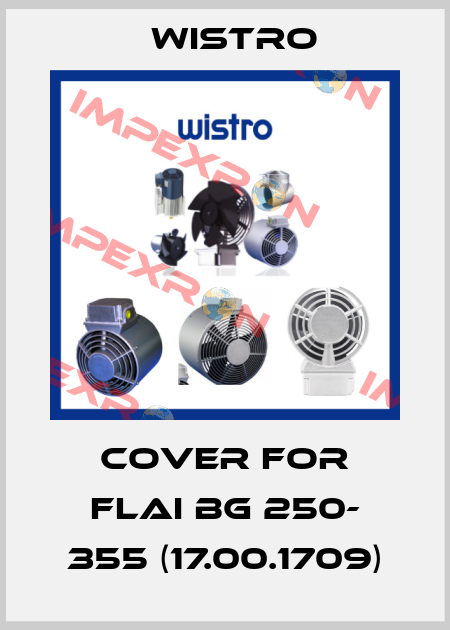 Cover for FLAI Bg 250- 355 (17.00.1709) Wistro