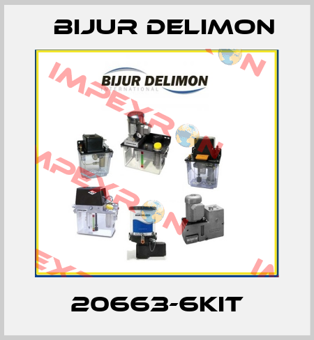 20663-6KIT Bijur Delimon