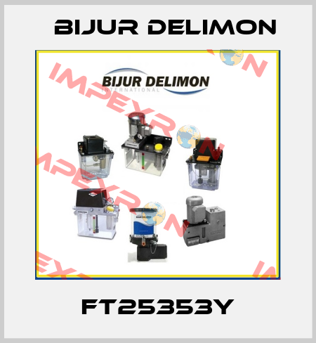 FT25353Y Bijur Delimon