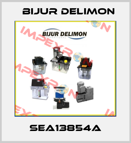 SEA13854A Bijur Delimon