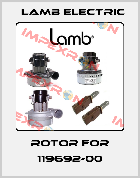 Rotor for 119692-00 Lamb Electric