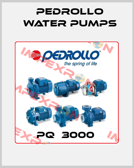 PQ  3000  Pedrollo Water Pumps